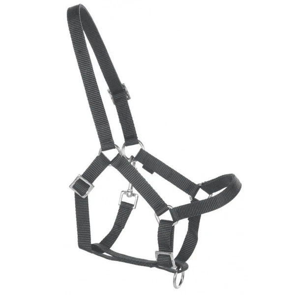 Helga Kreft »Halfter Für Gartenpferde, Schwarz«