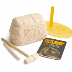 RMS Jurassic World Dominion Dino Schädel Ausgrabung